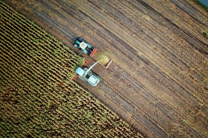 campo 2